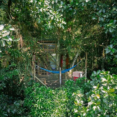 Paraty Paradiso المظهر الخارجي الصورة